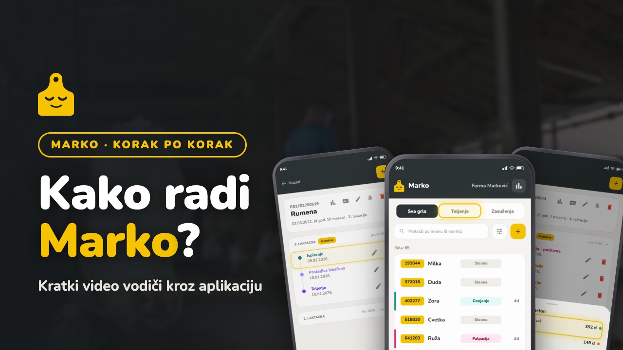 Marko — korak po korak, video uputstva